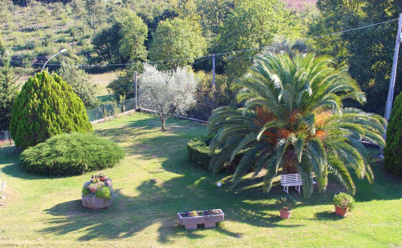 Bed and Breakfast Il Roseto Di Daniela Montefiascone Exterior foto