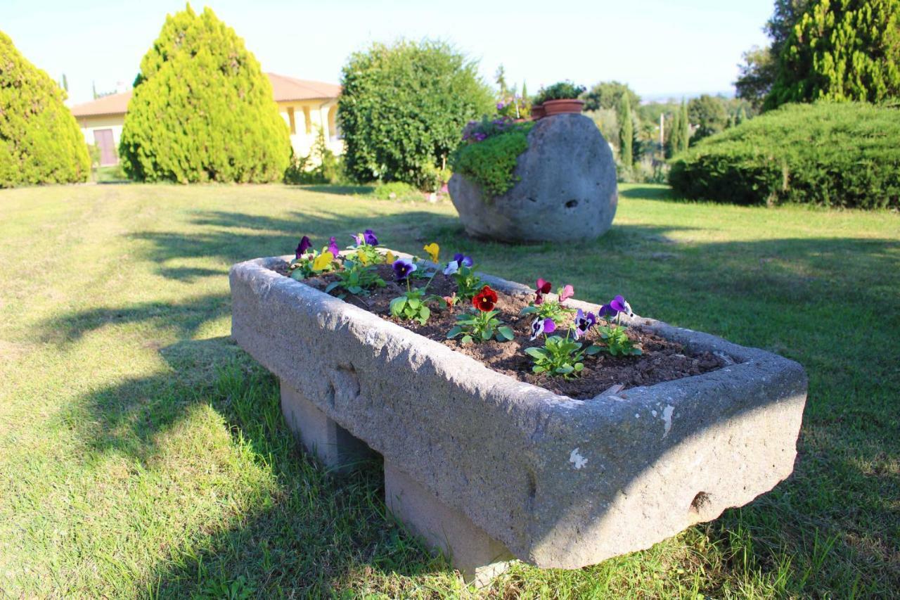 Bed and Breakfast Il Roseto Di Daniela Montefiascone Exterior foto
